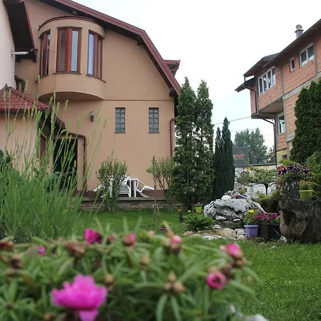Leon Sarajevo
